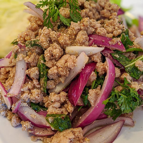 Close-up of Hug Thai Express's Larb, a Thai dish with minced meat, red onions, and fresh herbs.